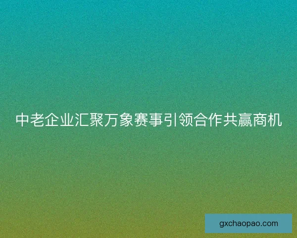 中老企业汇聚万象赛事引领合作共赢商机