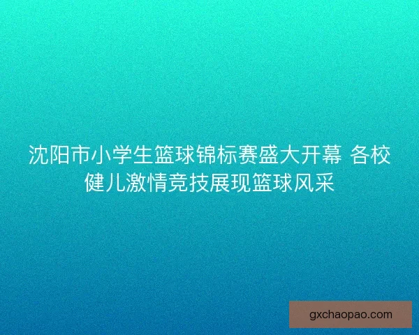 沈阳市小学生篮球锦标赛盛大开幕 各校健儿激情竞技展现篮球风采